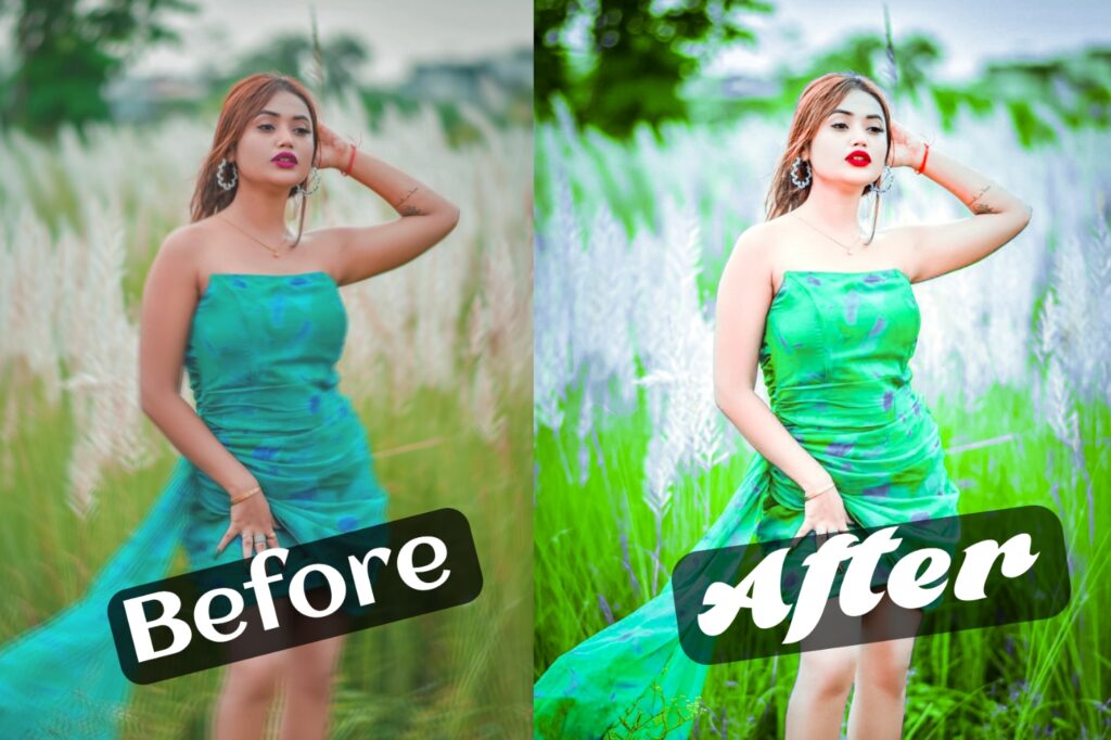 Green And Gray Lightroom Mobile Preset Download