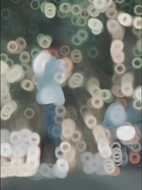 Apna Raja Ke Fan Ham Bani Capcut Template Link