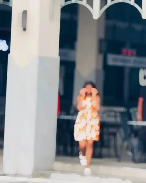 Bhul To Nahi gye Hame Capcut Template