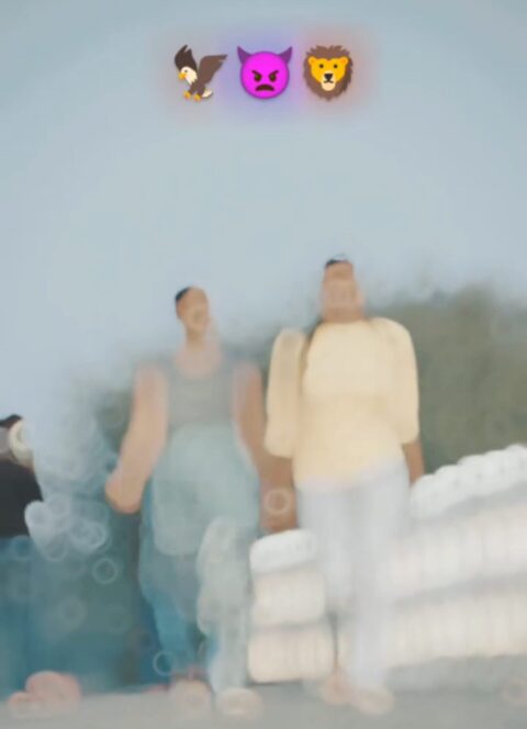 Dekh Lehab Okar Aukat a Janu CapCut Template