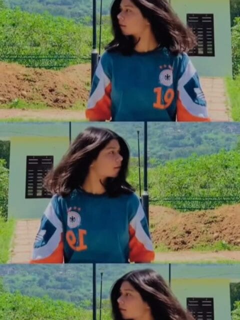 Pittal Pittal Kar Denge CapCut Template Link