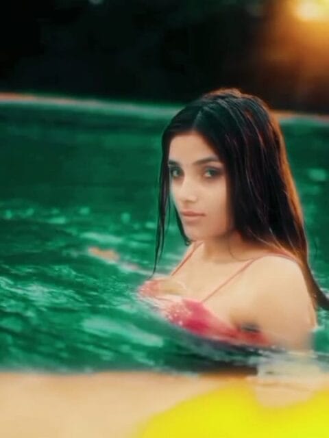 Shauk Singar Karke Bani Taiyari Capcut Template Link