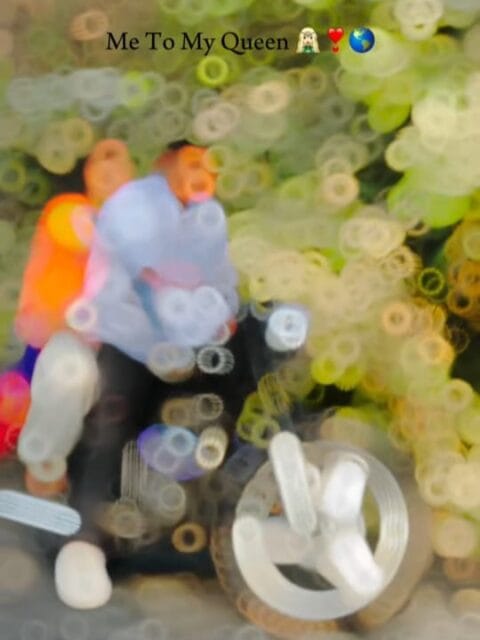 Tenu Dil Naal sada Lake Rakhunga Capcut Template