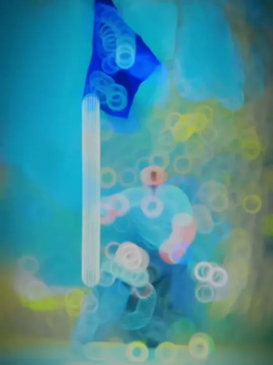 Kehu Aag Banta Kehu Bagh Banta Capcut Template link