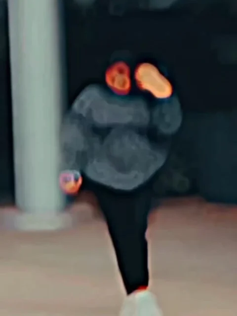 Nach Ke Malkini Capcut Template