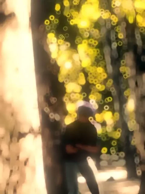 Biba Sada CapCut Template