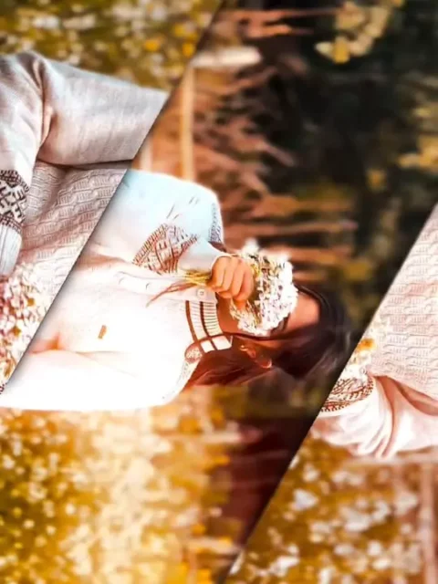 Darshan De CapCut Template