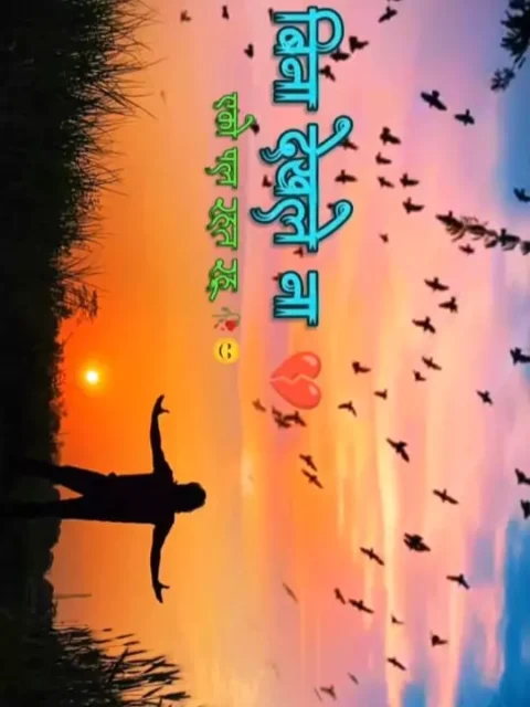 Tu Jawan Ho Gailu CapCut Template