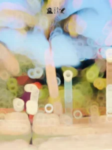 Banko Gujarati Capcut Template 2026