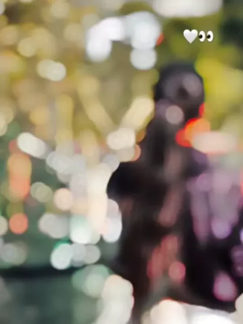 Guitar Sikhda CapCut Template