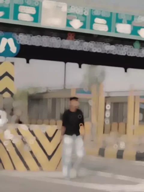 Long Hair Capcut Template