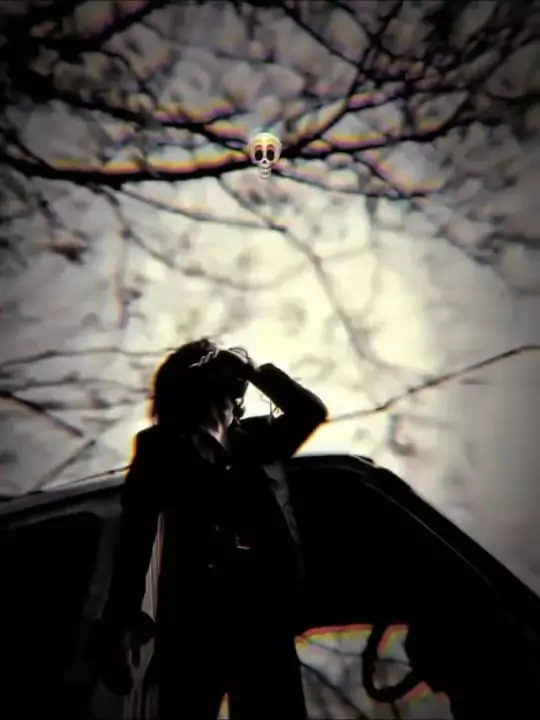 Mud Mud Ke Na Dekh Capcut Template