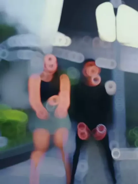 New Ladki Deewani Capcut Template Link