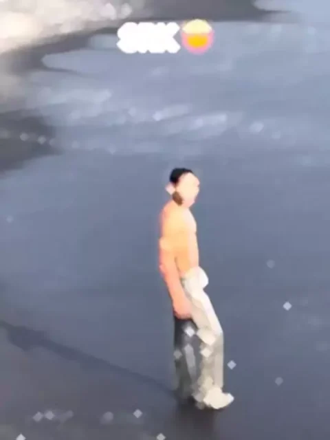 Srk Fan Edit Capcut Template