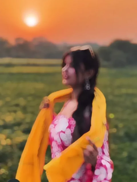 Bihari Rangdari Capcut Template