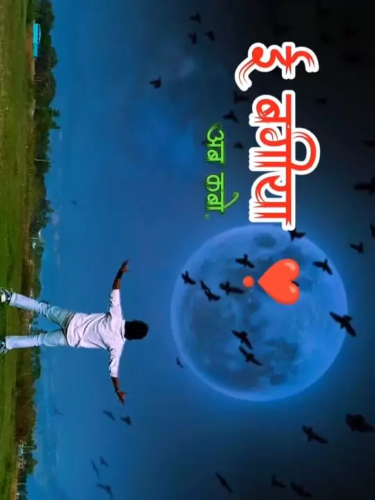 Dil Ke bagiya Me Capcut Template