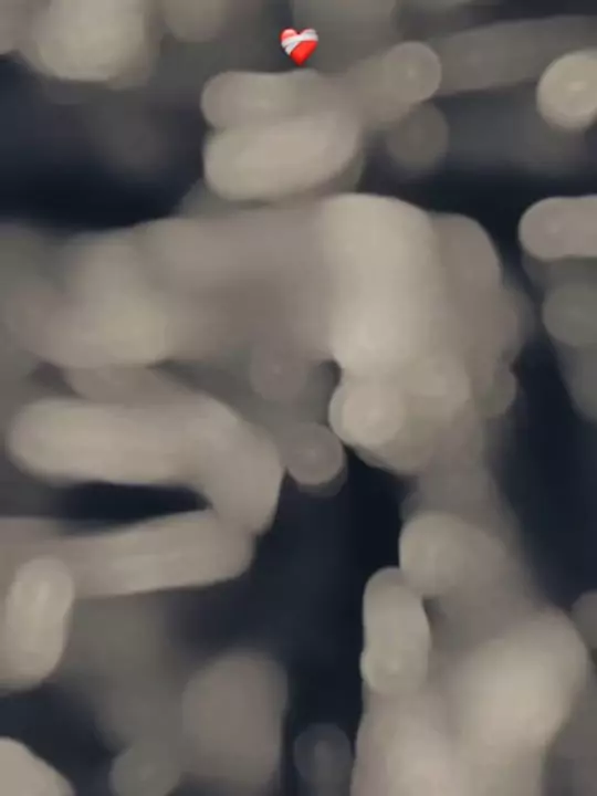 Fakira Capcut Template