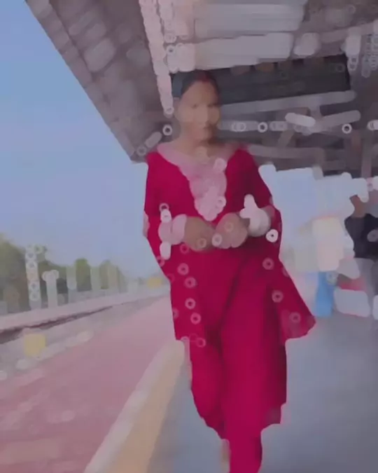 Lut Gaini Nilkamal Capcut Template