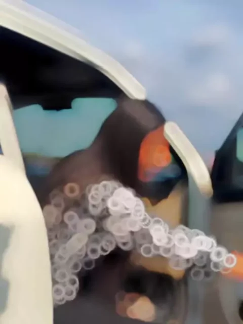 Horn Blow CapCut Template