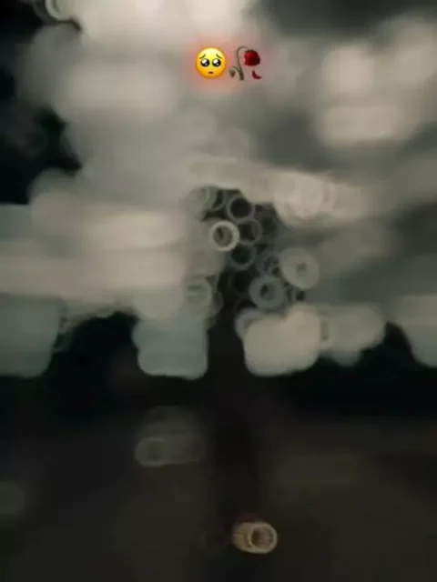 Sharam Haya Capcut TEmplate