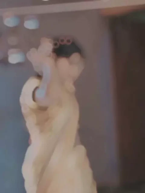 Tohra Jaisan Sundar Ladki Capcut Template