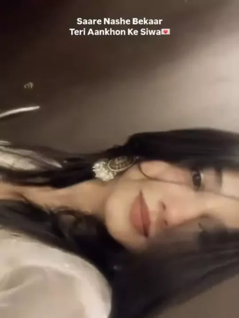 Pal Pal CapCut Template