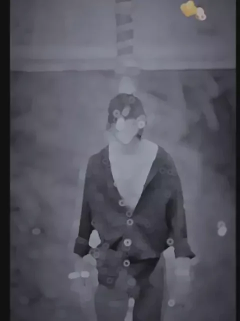 Rangdari Song Capcut Template