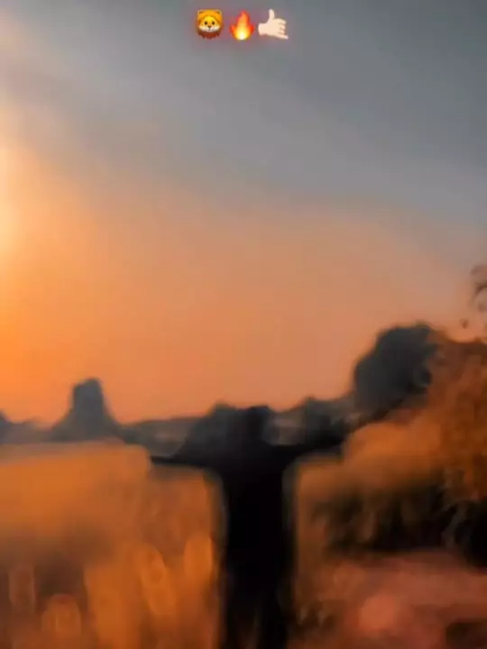 Tiger Ki Avaj Gujarati Capcut Templat