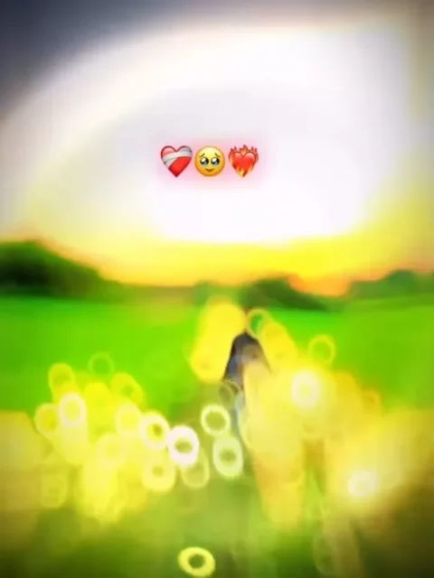 Di Diwana Na Jane Capcut Template