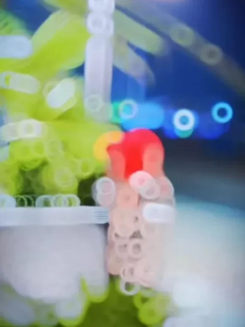 Dil Ni Dhadkan Gujarati Capcut Template