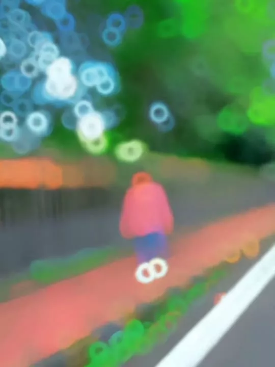 Dugo Rakhale Bani Capcut Template