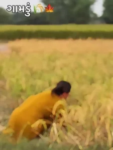 Gomda Nu Dil Capcut Template