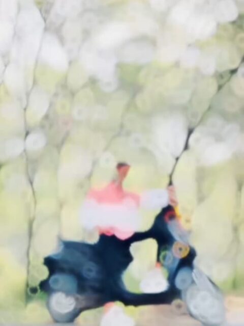 Gujarati Photo Capcut Template 2025