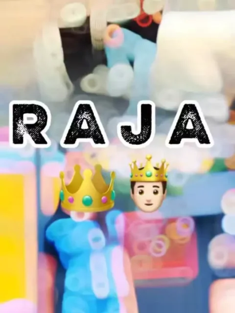 Raja Gujarati Capcut Template