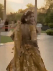 Udta Teer capcut Template 2025