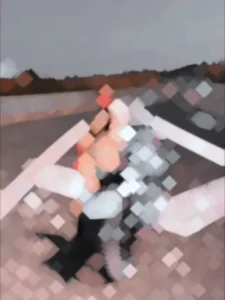 Varsho Thi Veri Capcut Template