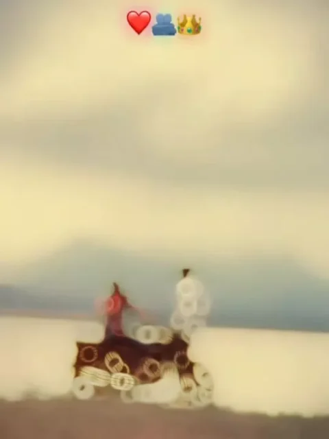 You Are My Brother Gujarati Capcut Template