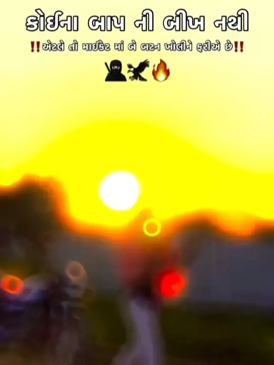 કોઈના બાપ ની બીખ નથી Capcut Template