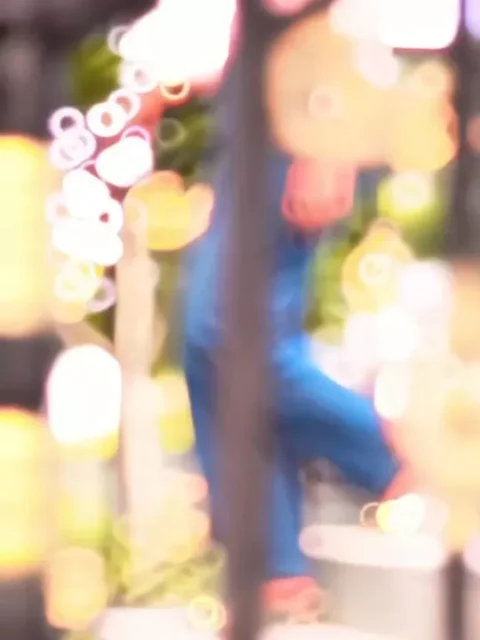 2008 Se Padal Bani Picha Capcut Template