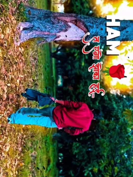 Ae Sapera Bin Bajawa Capcut Template