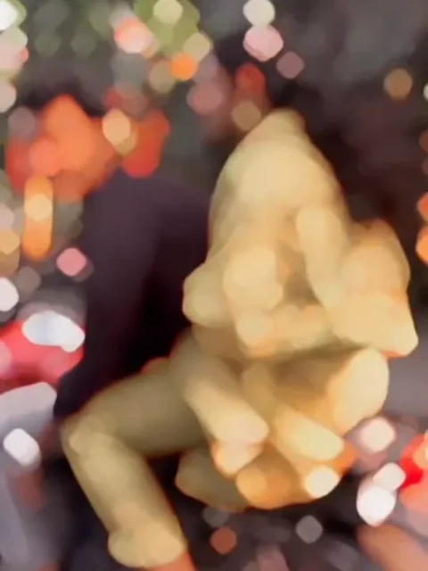 Bhabhi Ke Nanad Capcut Template