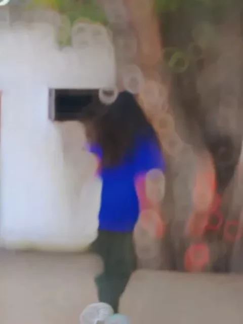 Lut Gaini Pyar Me Capcut Template