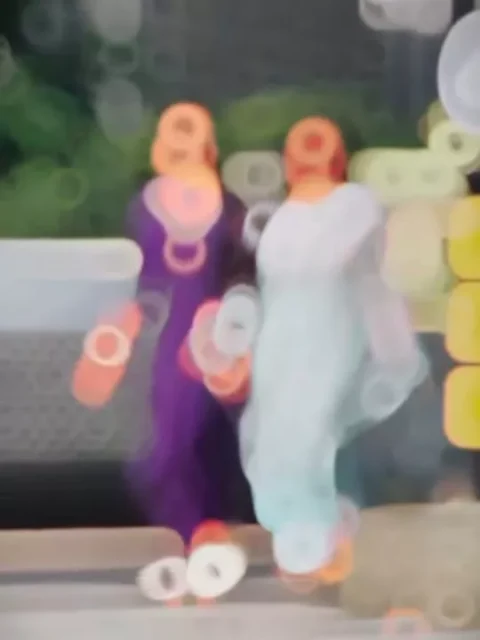 New Gujarati Capcut Template