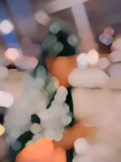 Odhani Gujarati Capcut Template