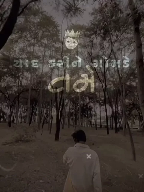 હસો મજામો. એટલે Gujarati Capcut Template