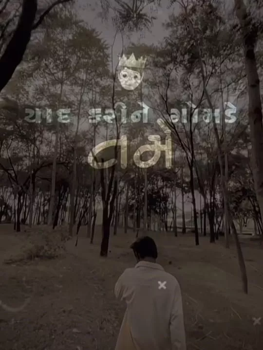 હસો મજામો. એટલે Gujarati Capcut Template