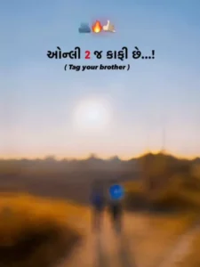 Brothers Gujarati Capcut Template