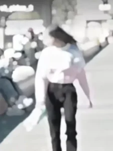 Chhodi Gyi Maro Sathh Capcut Template