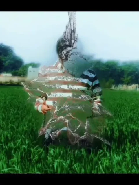 Dust Effect Capcut Template