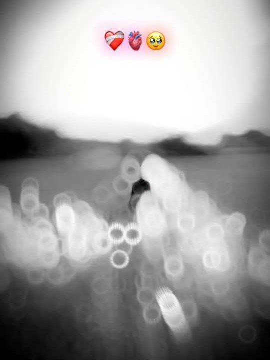 Gujarati sad Capcut Template